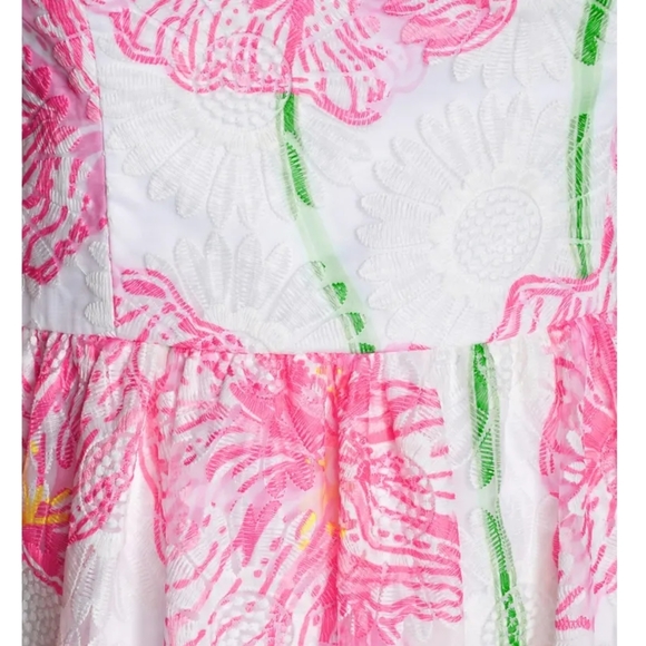STUNNING Lilly Pulitzer Darcelle Dress Size 2 - Picture 14 of 16